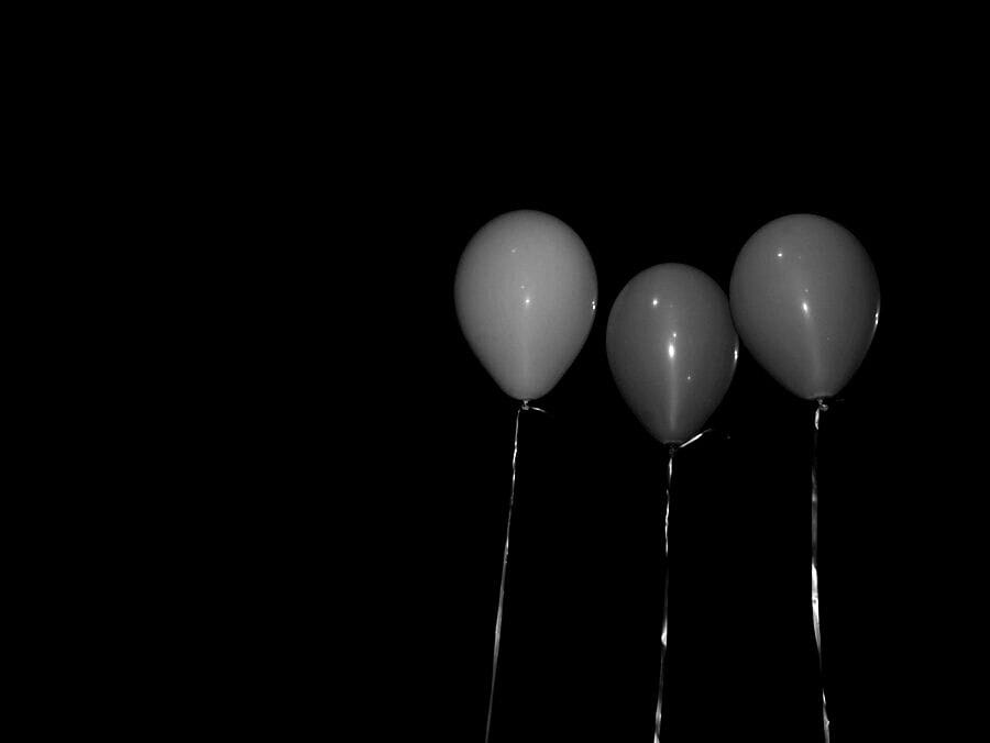 HEDI SLIMANE DIARY -